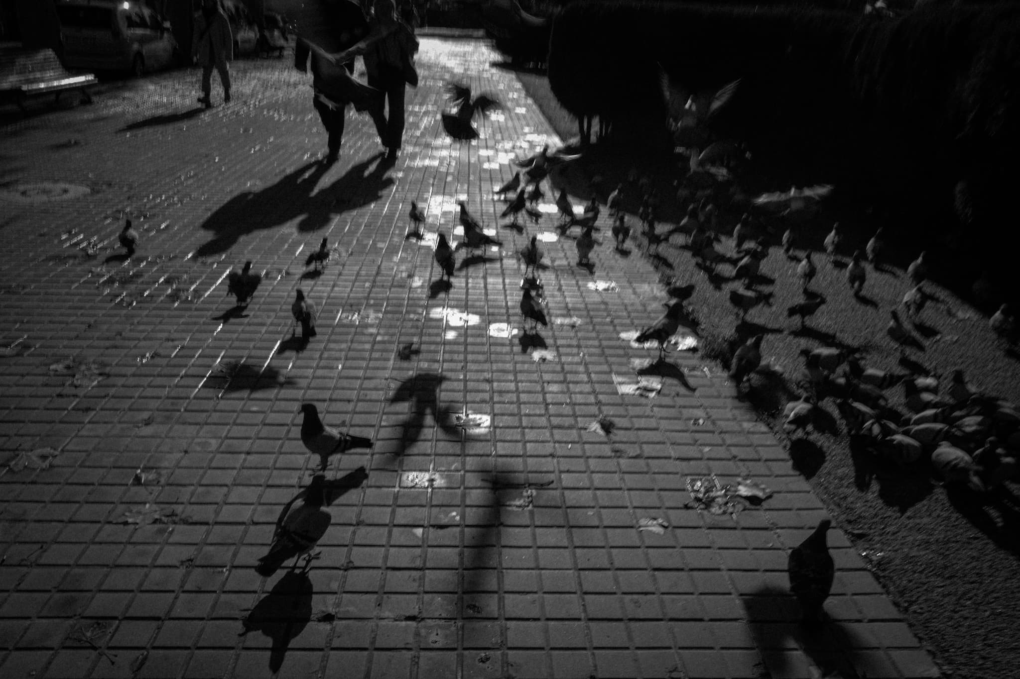 Just passing through